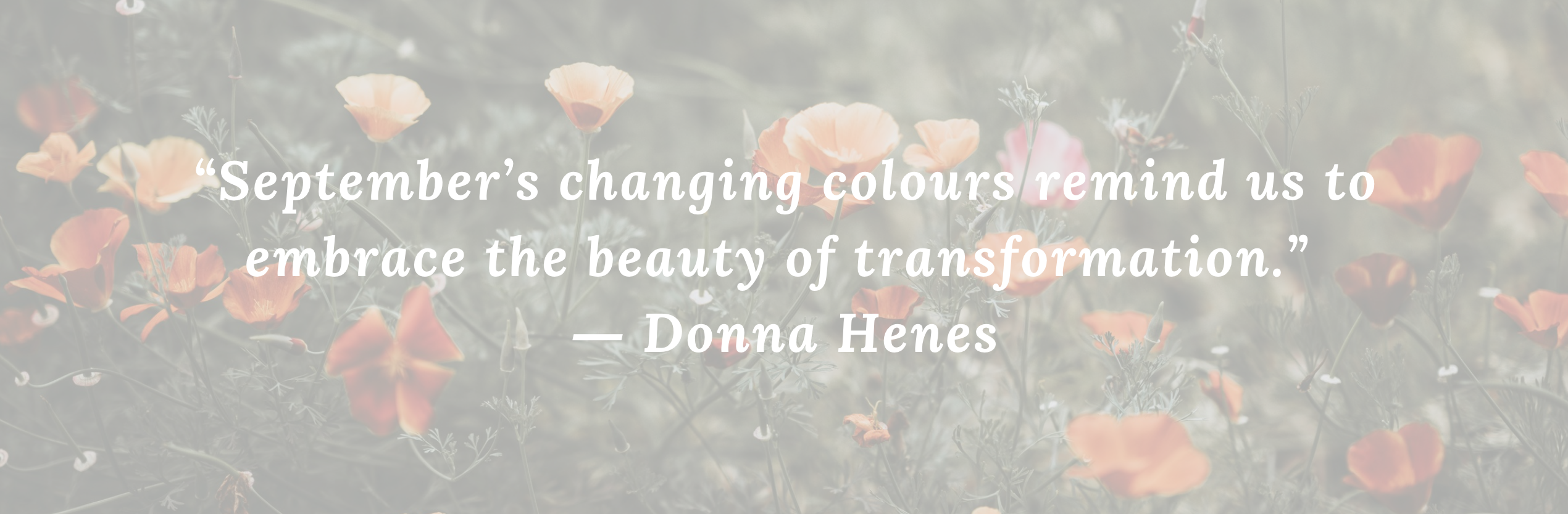 “September’s changing colours remind us to embrace the beauty of transformation.” 