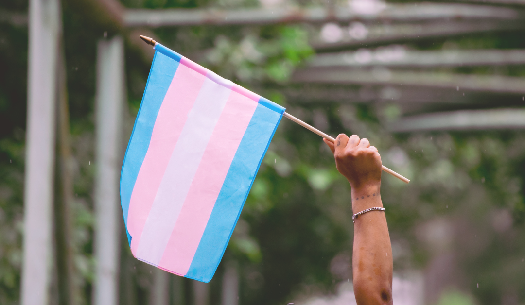 Transgender Day of Remembrance: A Call for Reflection & Action